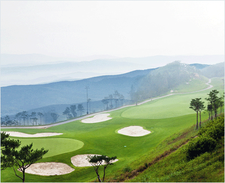 소노펠리체